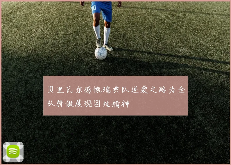 贝里瓦尔感慨瑞典队逆袭之路为全队骄傲展现团结精神